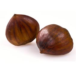 Mostarda di Marroni